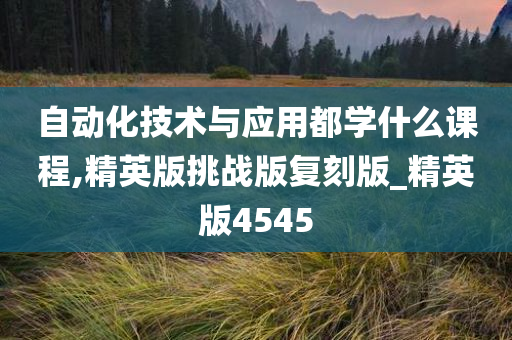 自动化技术与应用都学什么课程,精英版挑战版复刻版_精英版4545