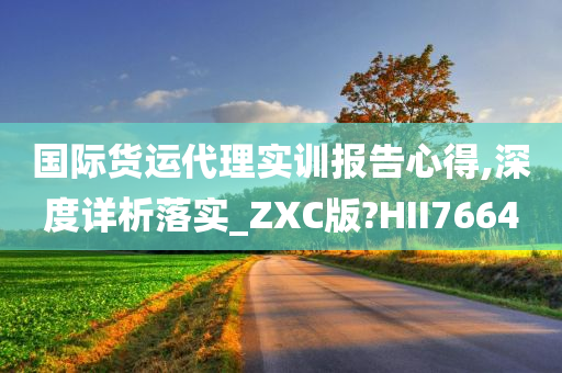 国际货运代理实训报告心得,深度详析落实_ZXC版?HII7664