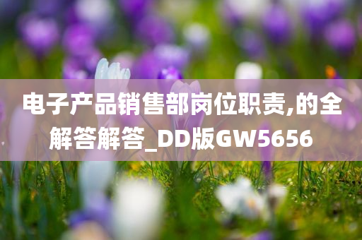 电子产品销售部岗位职责,的全解答解答_DD版GW5656