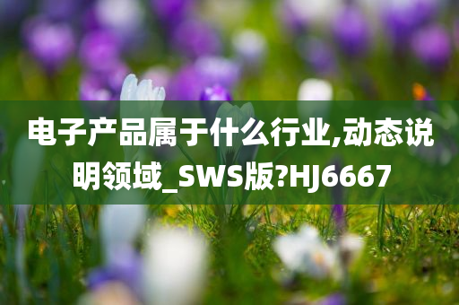 电子产品属于什么行业,动态说明领域_SWS版?HJ6667