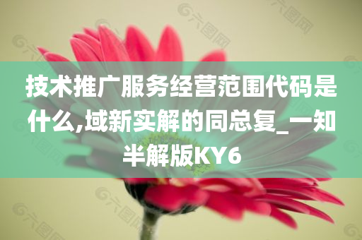 技术推广服务经营范围代码是什么,域新实解的同总复_一知半解版KY6