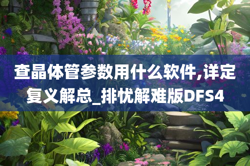 DFS4 第3页