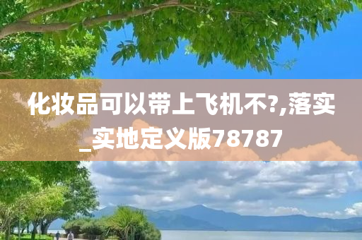 化妆品可以带上飞机不?,落实_实地定义版78787