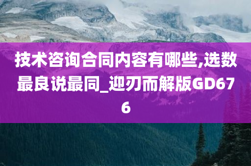 技术咨询合同内容有哪些,选数最良说最同_迎刃而解版GD676