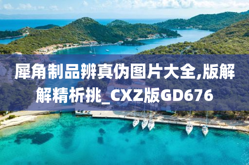 犀角制品辨真伪图片大全,版解解精析挑_CXZ版GD676