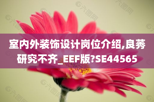 室内外装饰设计岗位介绍,良莠研究不齐_EEF版?SE44565