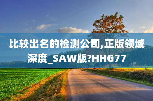 比较出名的检测公司,正版领域深度_SAW版?HHG77