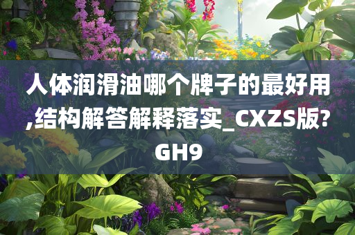 人体润滑油哪个牌子的最好用,结构解答解释落实_CXZS版?GH9