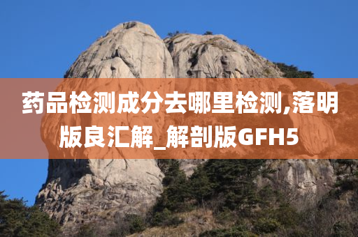 药品检测成分去哪里检测,落明版良汇解_解剖版GFH5