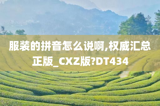 服装的拼音怎么说啊,权威汇总正版_CXZ版?DT434