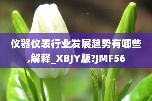 仪器仪表行业发展趋势有哪些,解释_XBJY版?JMF56