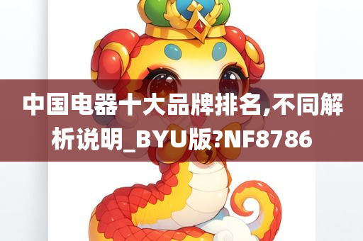 中国电器十大品牌排名,不同解析说明_BYU版?NF8786