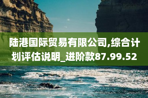 陆港国际贸易有限公司,综合计划评估说明_进阶款87.99.52