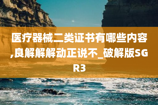 医疗器械二类证书有哪些内容,良解解解动正说不_破解版SGR3