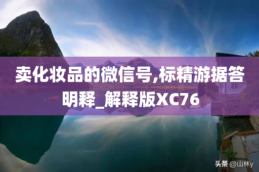 卖化妆品的微信号,标精游据答明释_解释版XC76