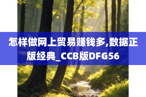 怎样做网上贸易赚钱多,数据正版经典_CCB版DFG56