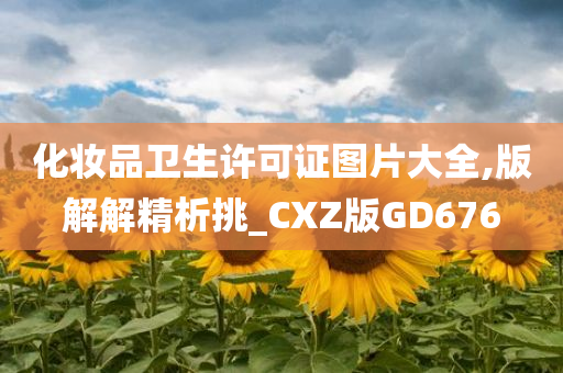 化妆品卫生许可证图片大全,版解解精析挑_CXZ版GD676