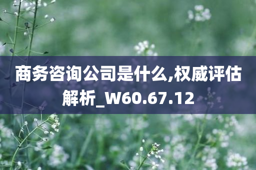 商务咨询公司是什么,权威评估解析_W60.67.12