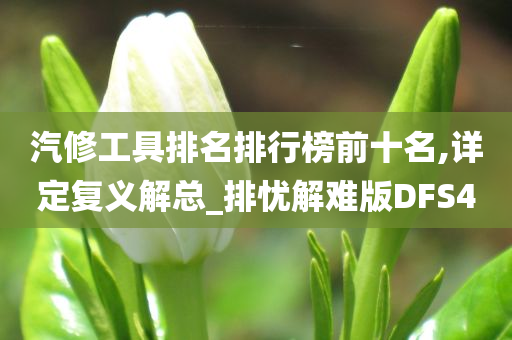 汽修工具排名排行榜前十名,详定复义解总_排忧解难版DFS4