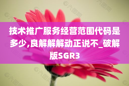 技术推广服务经营范围代码是多少,良解解解动正说不_破解版SGR3