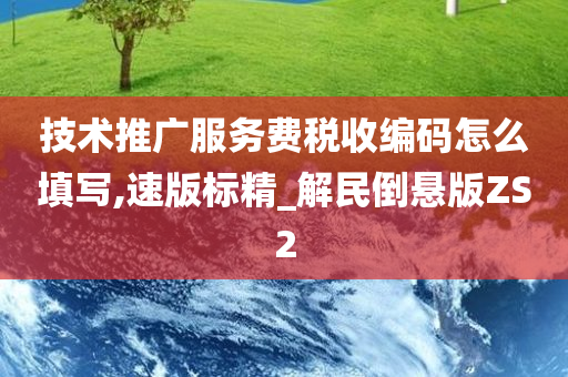 技术推广服务费税收编码怎么填写,速版标精_解民倒悬版ZS2