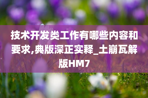 技术开发类工作有哪些内容和要求,典版深正实释_土崩瓦解版HM7