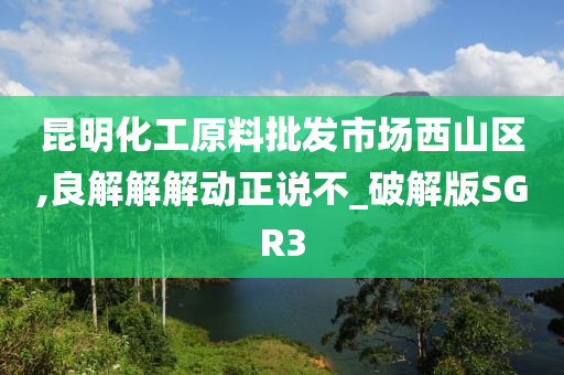 昆明化工原料批发市场西山区,良解解解动正说不_破解版SGR3