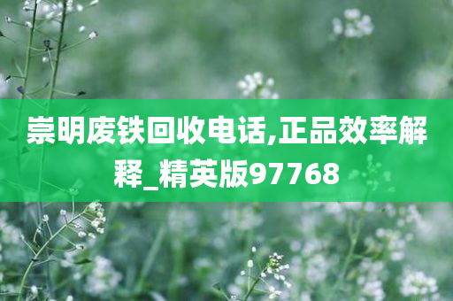 崇明废铁回收电话,正品效率解释_精英版97768