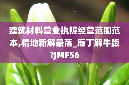 建筑材料营业执照经营范围范本,精地新解最落_庖丁解牛版?JMF56