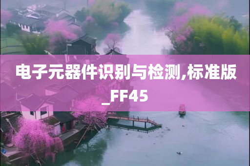 电子元器件识别与检测,标准版_FF45