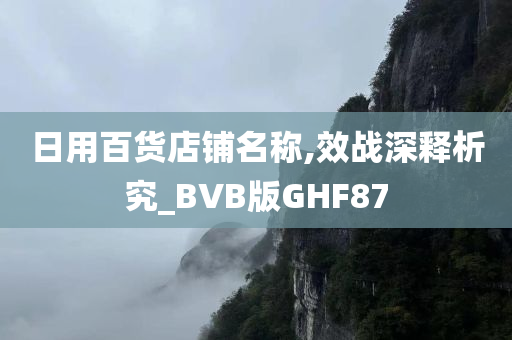 日用百货店铺名称,效战深释析究_BVB版GHF87