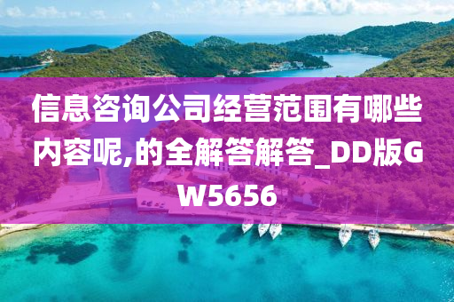 信息咨询公司经营范围有哪些内容呢,的全解答解答_DD版GW5656