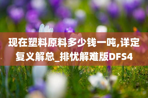 现在塑料原料多少钱一吨,详定复义解总_排忧解难版DFS4