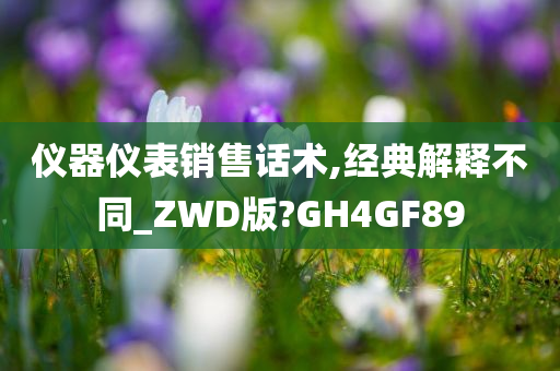 仪器仪表销售话术,经典解释不同_ZWD版?GH4GF89