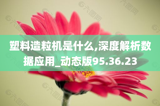 塑料造粒机是什么,深度解析数据应用_动态版95.36.23