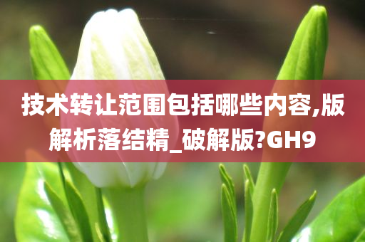 技术转让范围包括哪些内容,版解析落结精_破解版?GH9