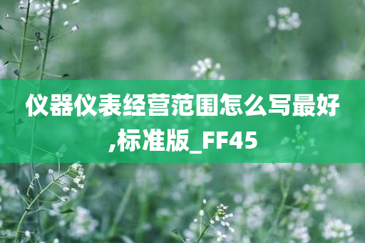 仪器仪表经营范围怎么写最好,标准版_FF45