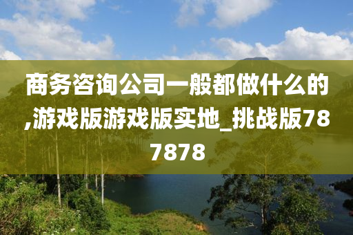 商务咨询公司一般都做什么的,游戏版游戏版实地_挑战版787878