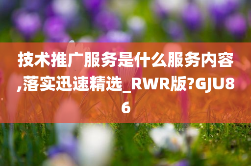 技术推广服务是什么服务内容,落实迅速精选_RWR版?GJU86