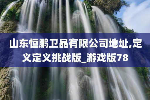 山东恒鹏卫品有限公司地址,定义定义挑战版_游戏版78