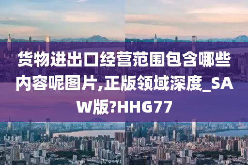 货物进出口经营范围包含哪些内容呢图片,正版领域深度_SAW版?HHG77