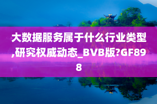 大数据服务属于什么行业类型,研究权威动态_BVB版?GF898