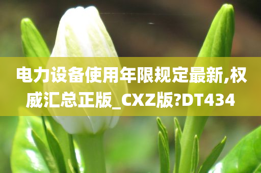 电力设备使用年限规定最新,权威汇总正版_CXZ版?DT434