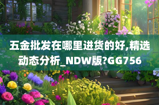 五金批发在哪里进货的好,精选动态分析_NDW版?GG756