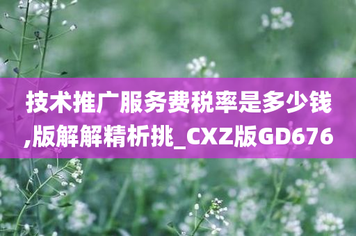 技术推广服务费税率是多少钱,版解解精析挑_CXZ版GD676