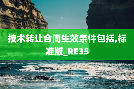 技术转让合同生效条件包括,标准版_RE35