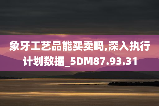 象牙工艺品能买卖吗,深入执行计划数据_5DM87.93.31