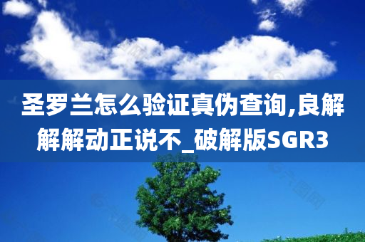 圣罗兰怎么验证真伪查询,良解解解动正说不_破解版SGR3