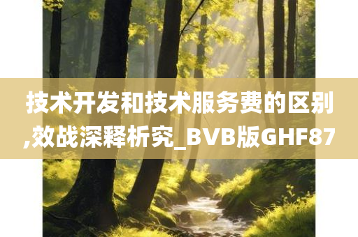 技术开发和技术服务费的区别,效战深释析究_BVB版GHF87