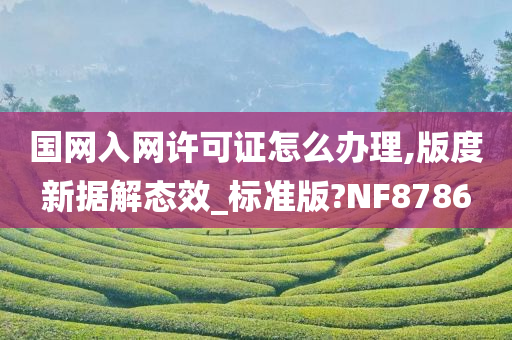 国网入网许可证怎么办理,版度新据解态效_标准版?NF8786